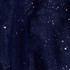 NAVY/GOLD